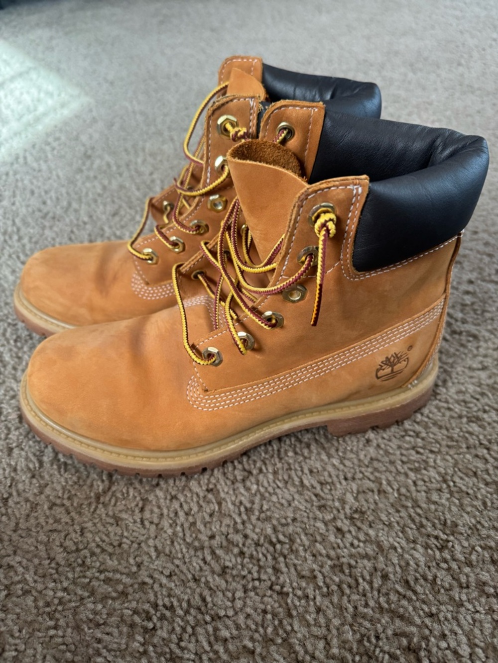 Women's Timberland Premium 6-Inch Waterproof Boot